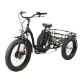48V 500W/750W Fat Tire 3 Wheel Cargo Electric Tricycle
